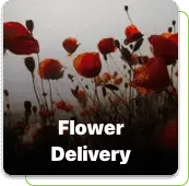 Delivery-App-Builder